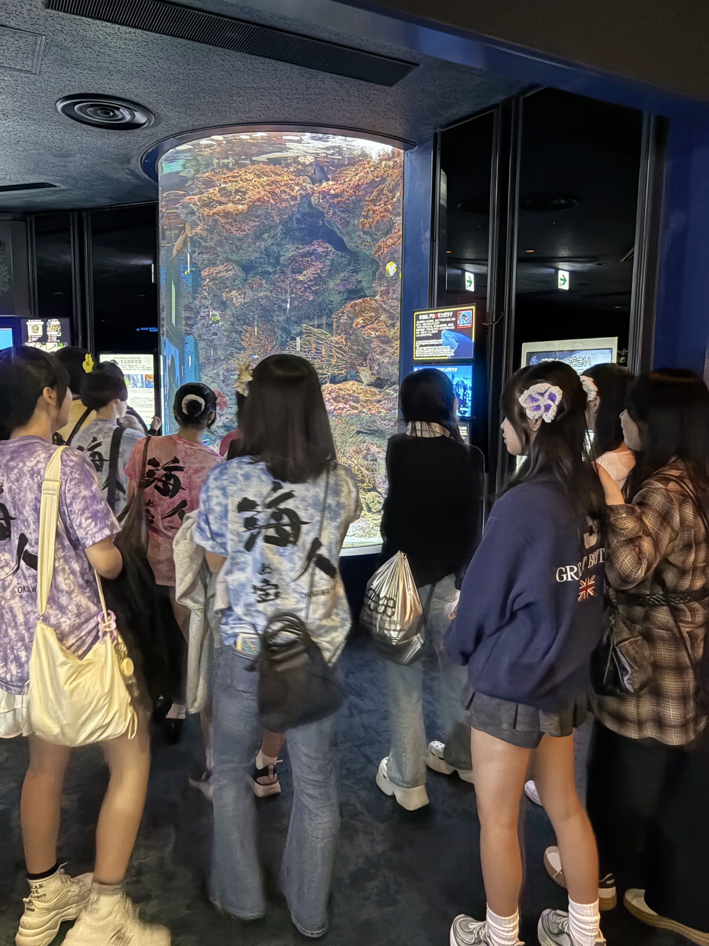 Image - 2026-02-10T170448.157